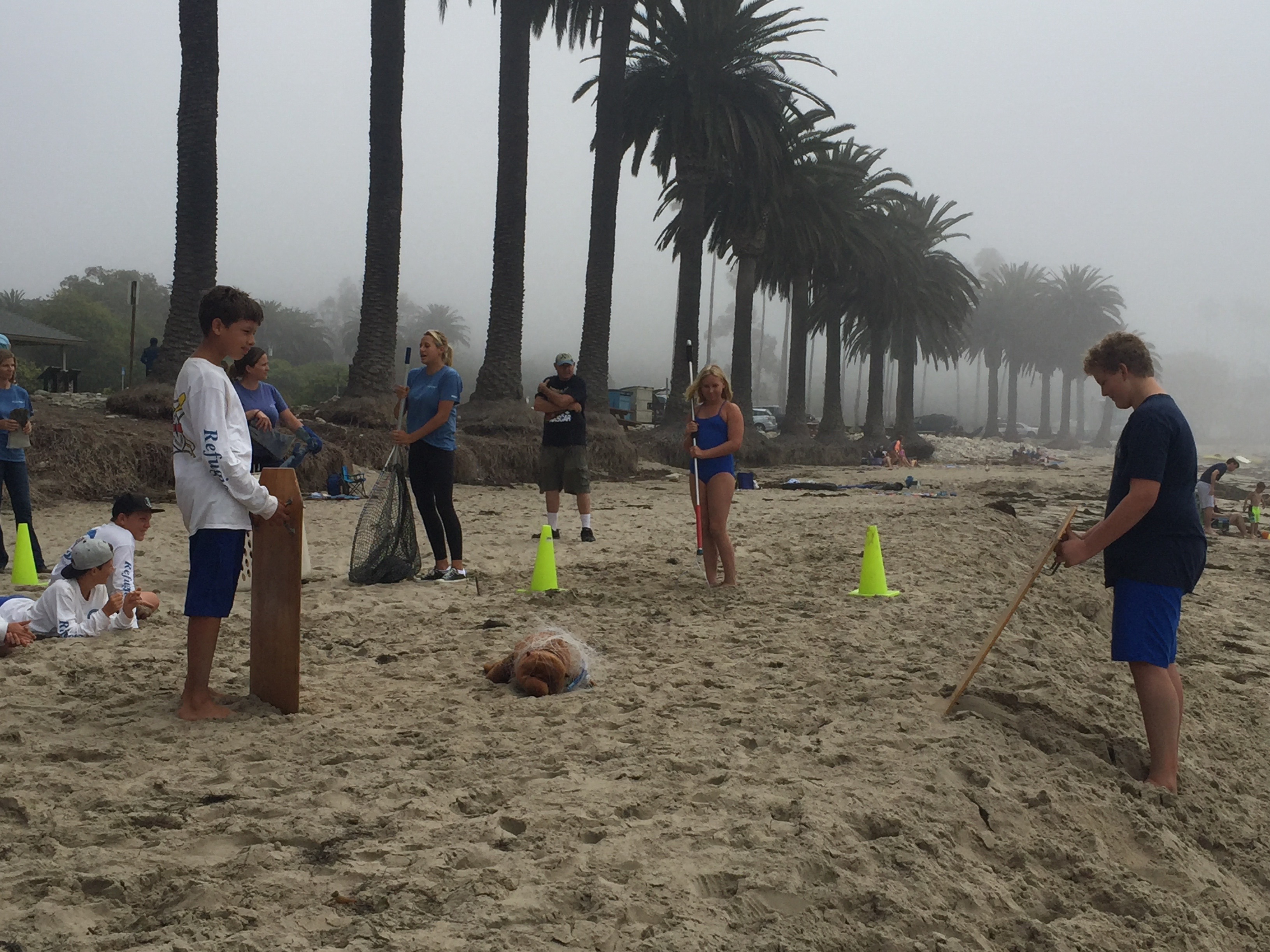 Sea Lion Mock Rescue Image